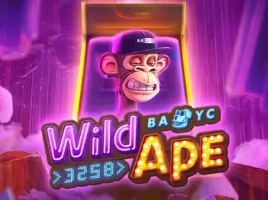 Dudespin Casino screenshot